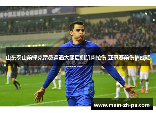 山东泰山前锋克雷桑遭遇大腿后侧肌肉拉伤 亚冠赛前伤情成疑 山东泰山前锋克雷桑遭遇大腿后侧肌肉拉伤 亚冠赛前伤情成疑